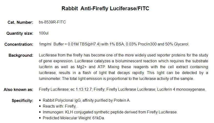Rabbit Anti-Firefly Luciferase/FITC Conjugated antibody