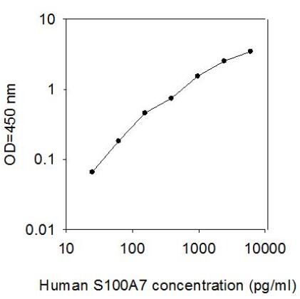 Human S100 A7 ELISA