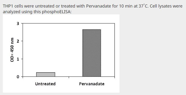 Human‚ Mouse and Rat Phosphotyrosine iNOS ELISA
