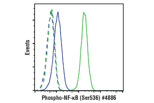 Phospho-NF-κB p65 (Ser536) (93H1) Rabbit mAb (Alexa Fluor 488 Conjugate)