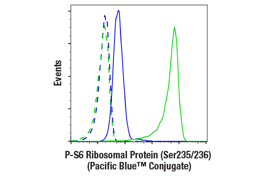 Phospho-S6 Ribosomal Protein (Ser235/236) (D57.2.2E) XP Rabbit mAb (Pacific Blue Conjugate)