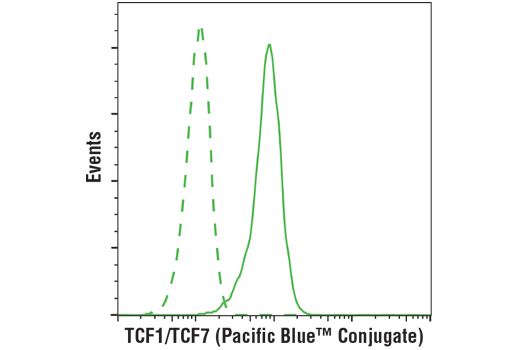 TCF1/TCF7 (C63D9) Rabbit mAb (Pacific Blue Conjugate)