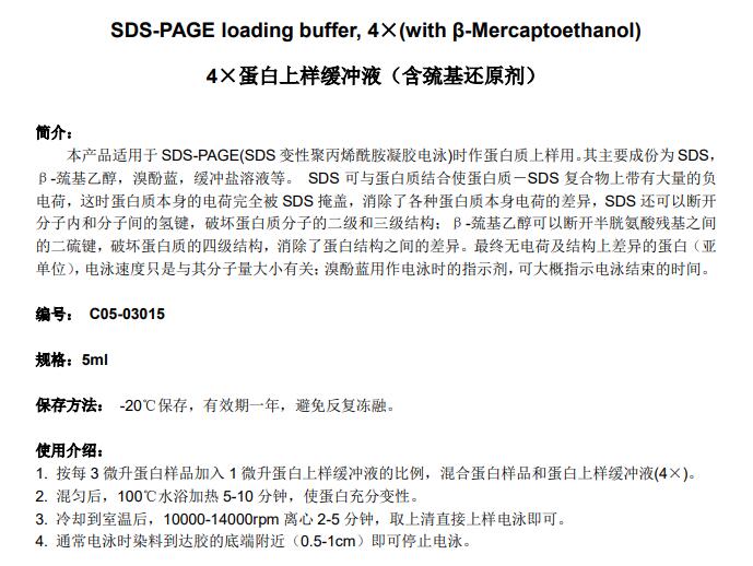 4×蛋白上样缓冲液（含巯基还原剂）