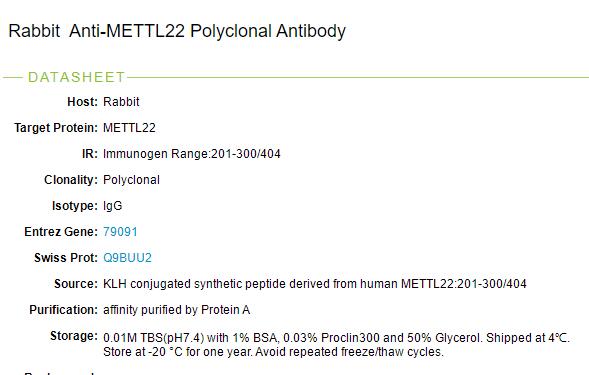 甲基化样蛋白22抗体