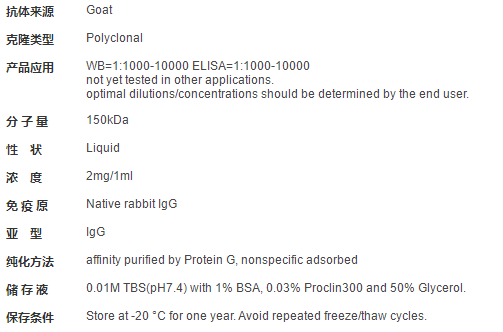 HRP标记的羊抗兔IgG H&amp;L
