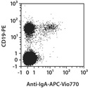 Anti-IgA-APC-Vio770, h, IS11-8E10, 100 t