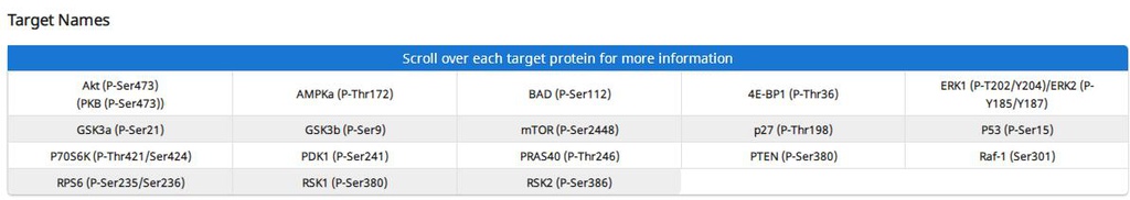 Human/Mouse AKT Pathway Phosphorylation Array C1