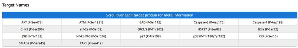 Mouse Apoptosis Signaling Pathway Array C1