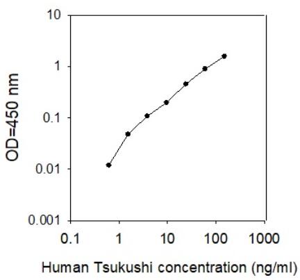 Human Tsukushi/TSK ELISA