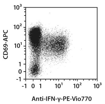 Anti-IFN-g-PE-Vio770, h, REA600, 100 t