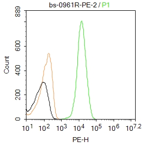 PE标记瘦素受体抗体