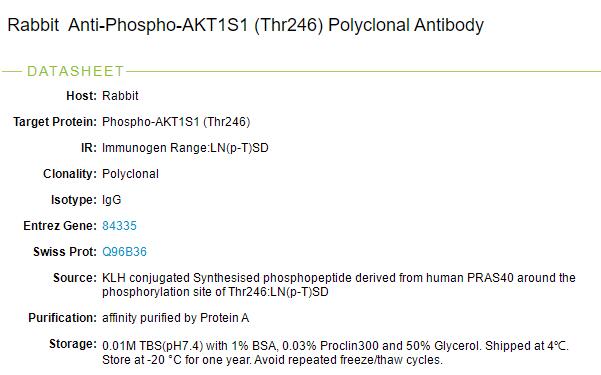 磷酸化蛋白激酶AKT底物1抗体