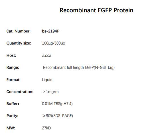 重组增强型绿色荧光蛋白