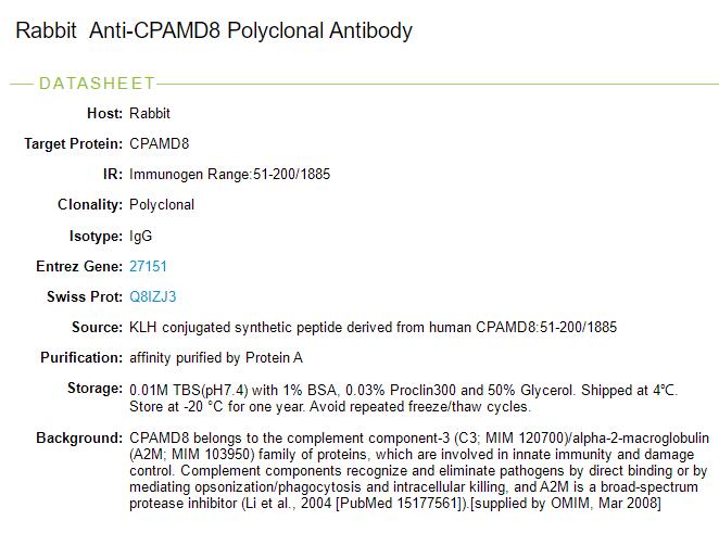 CPAMD8蛋白抗体