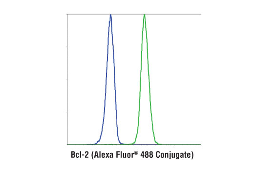 Bcl-2 (124) Mouse mAb (Alexa Fluor 488 Conjugate)