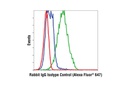 Rabbit IgG Isotype Control (Alexa Fluor 647 Conjugate)
